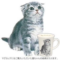 画像2: にゃんコレ（猫） 陶器製マグカップ　スコティッシュホールド (2)