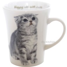 画像1: にゃんコレ（猫） 陶器製マグカップ　スコティッシュホールド (1)