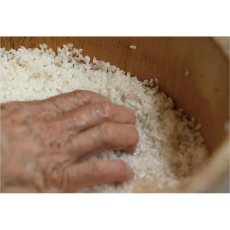 画像2: 米研ぎ桶（氷桶）　大 (2)