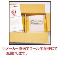 画像2: 【メーカー直送・他商品と同梱不可】　日本スープ　チキンクリアスープ 100　100g×15袋入り (2)
