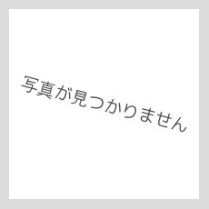 画像3: 日本製　ラザニア皿　10インチ　（26×19.3cm）【アウトレット】 (3)