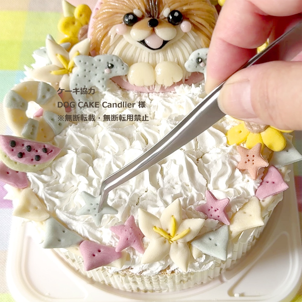 掴みやすいピンセット (L12.6cm×1.0cm): 2025 AUTUMN SALE｜キッチン用